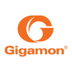 Gigamon